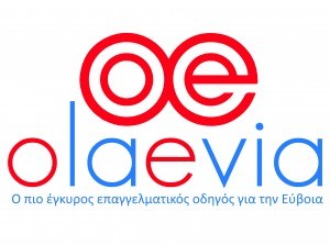 Οι όροι χρήσης του olaevia.gr